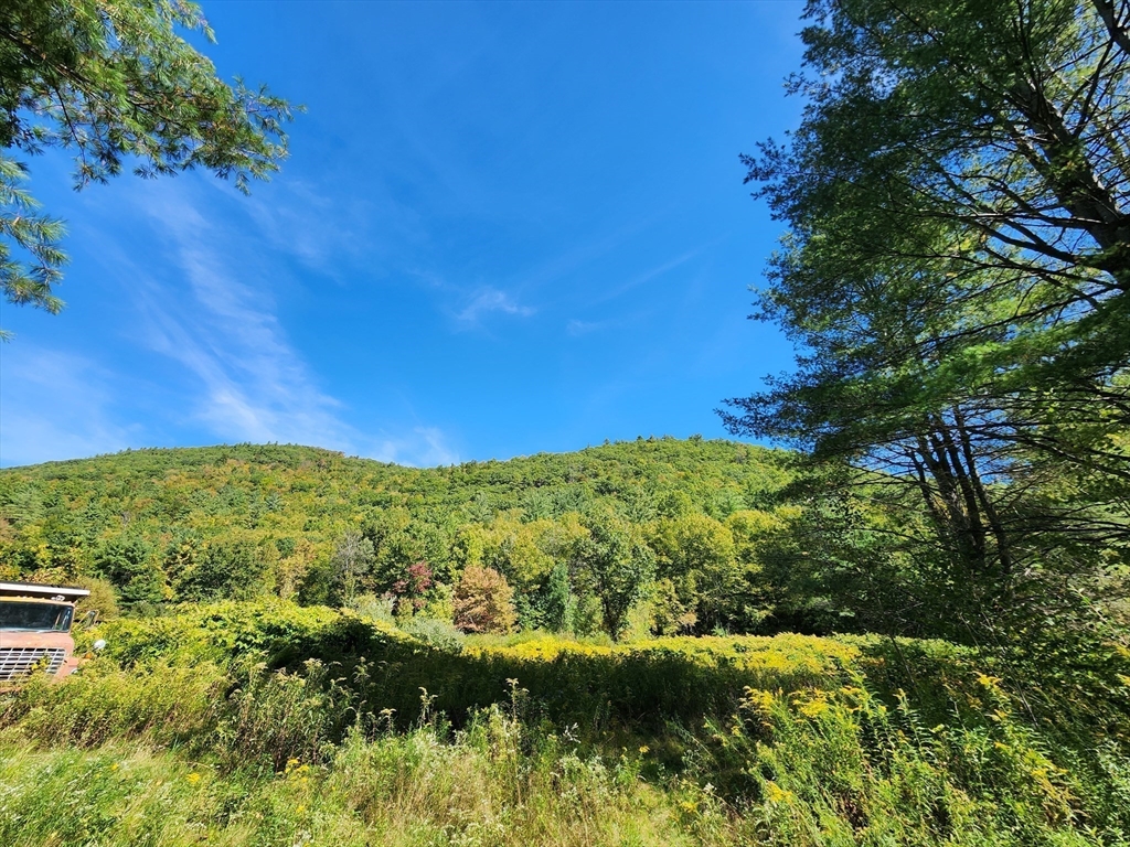 2153 Route 2 Charlemont, MA 01339 - Photo 2 of 25 a view of a green field
