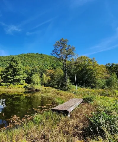 a view of a lake with a yard