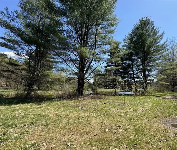 a view of backyard with trees