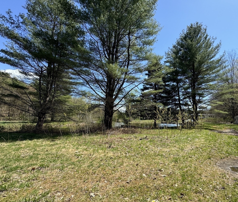 2153 Route 2 Charlemont, MA 01339 - Photo 8 of 25 a view of backyard with trees