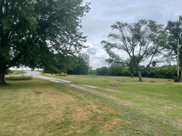 1116 North 29th Road Ottawa, IL 61350 - Photo 4 of 9 a view of field with large trees