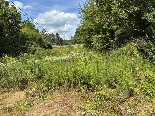 0 Us-35 Ray, OH 45672 - Photo 12 of 15 Ray Ohio Land 3