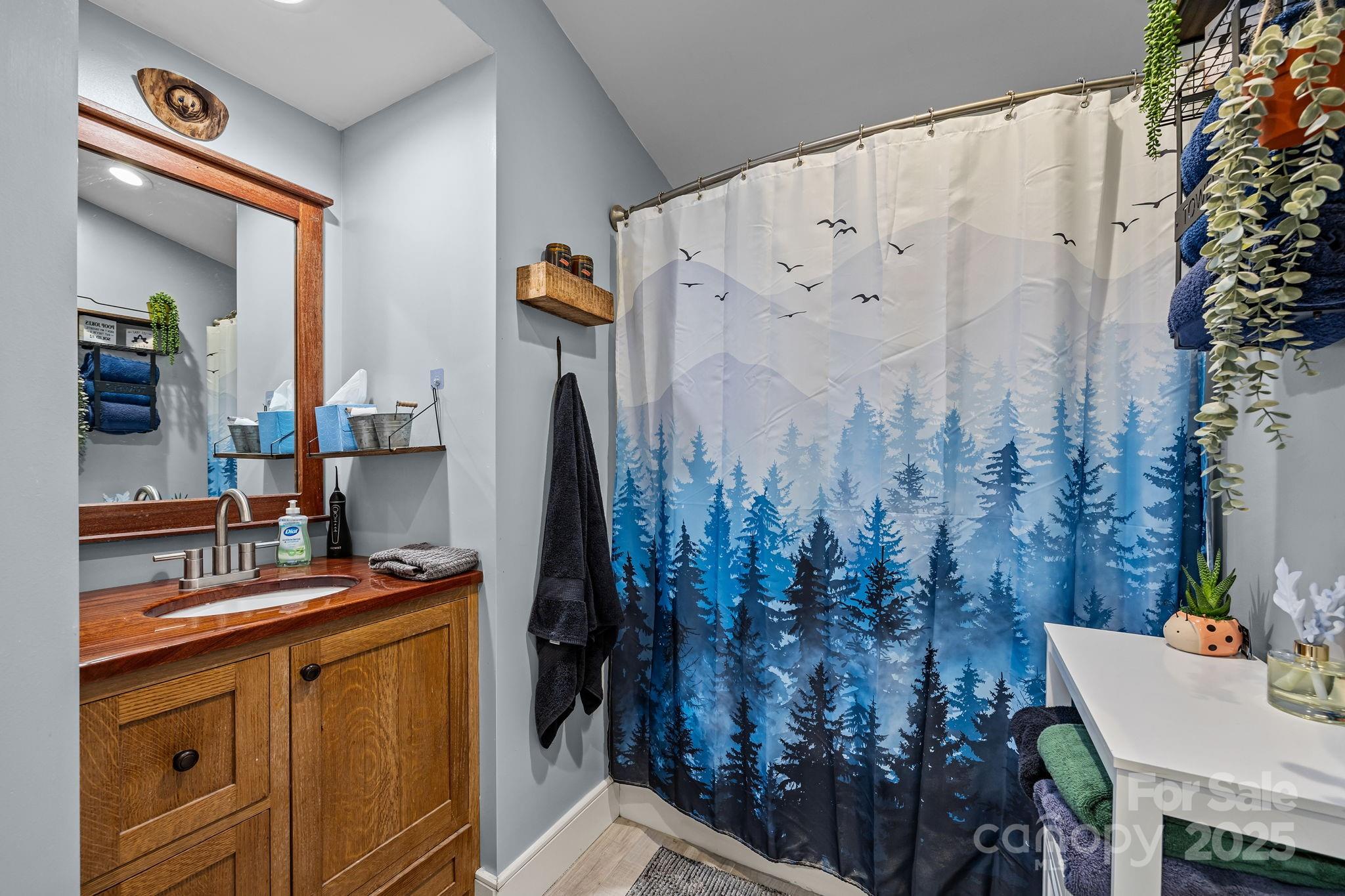 2144 Wilson Road Asheville, NC 28806 - Photo 20 of 27 a bathroom with a sink and a mirror
