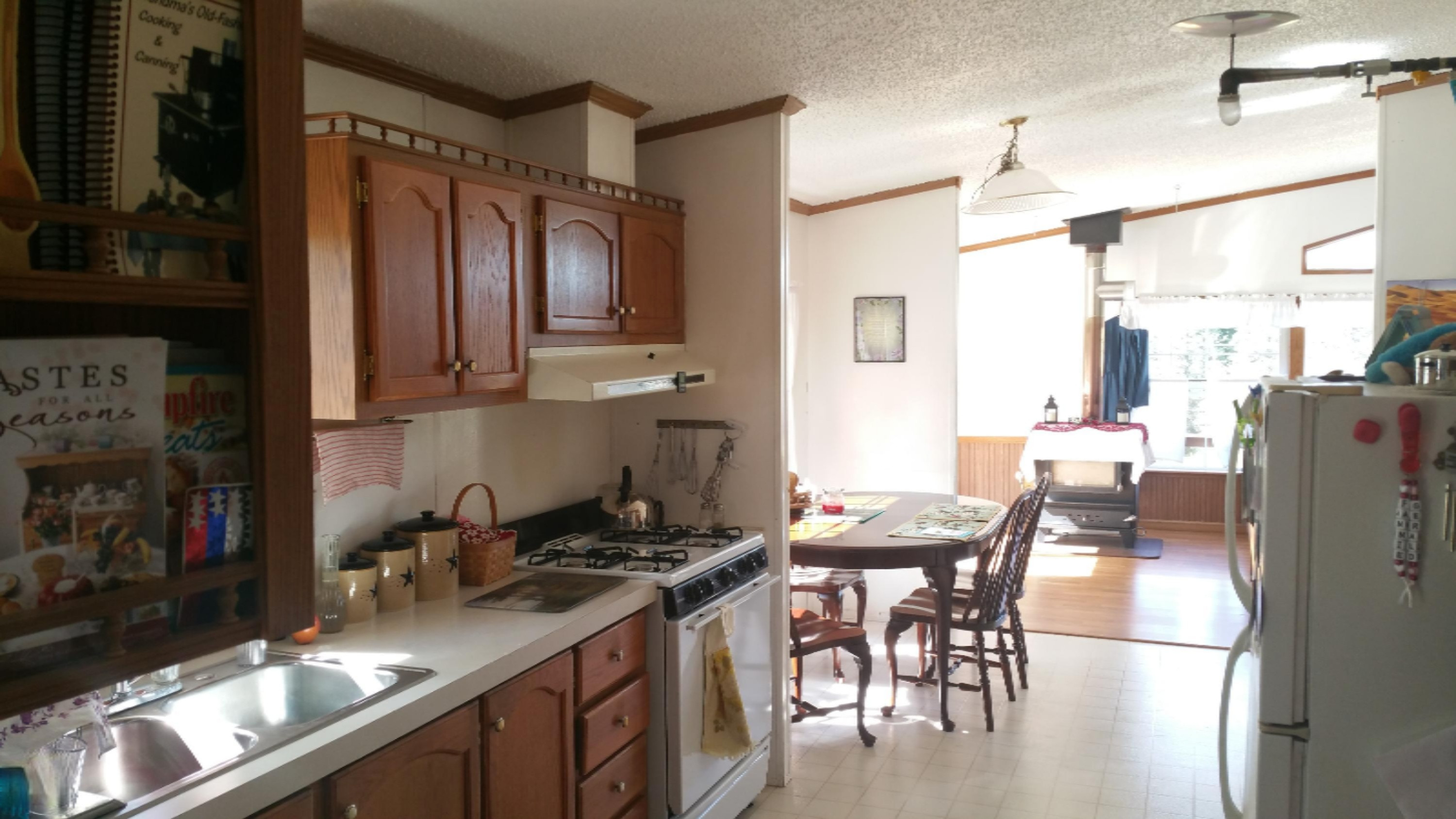 4646 West Geers Road McBain, MI 49657 - Photo 14 of 25 20160725_165923