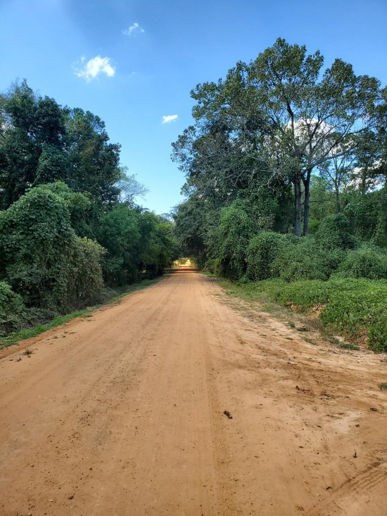1243 Scott Road Slocomb, AL 36375 - Photo 10 of 10