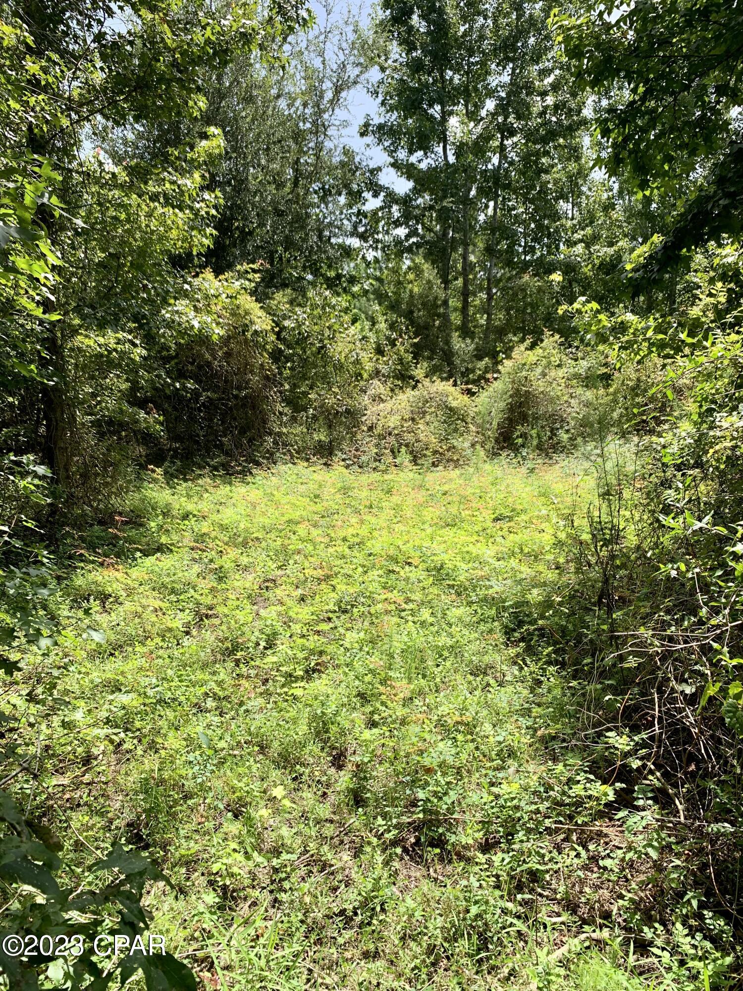 2466 Dilmore Road Cottondale, FL 32431 - Photo 19 of 36