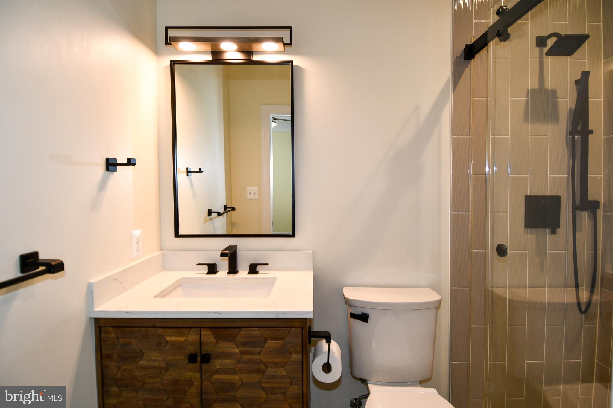 7808 Southdown Road Alexandria, VA 22308 - Photo 74 of 99 a bathroom with a sink a toilet and shower