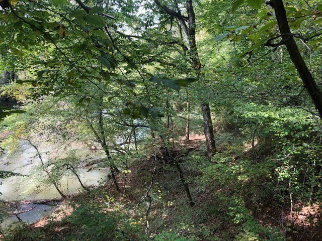 13 Athens Road Delano, TN 37325 - Photo 17 of 20
