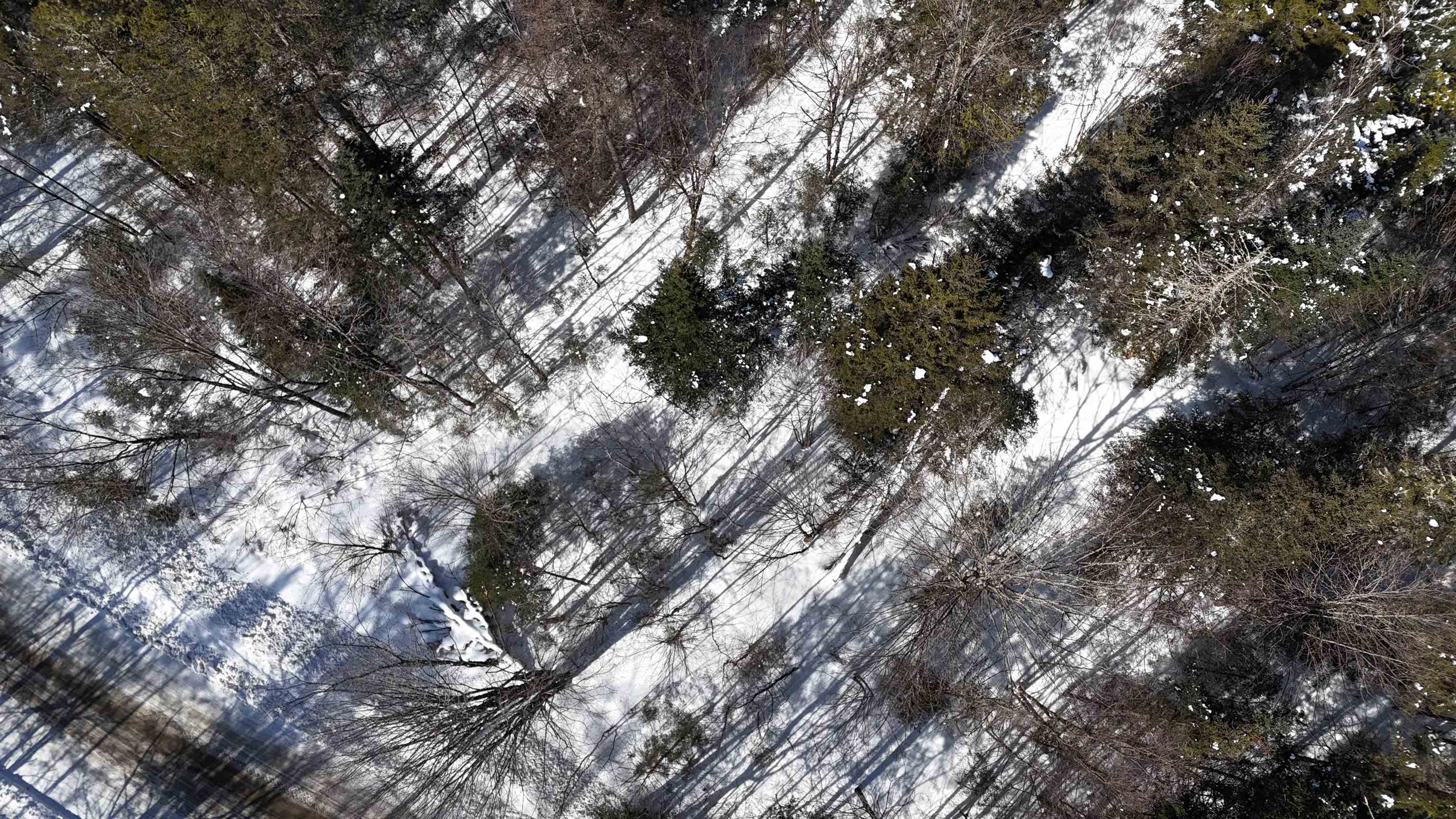 0 Marshall Newland Road East Burke, VT 05832 - Photo 22 of 29