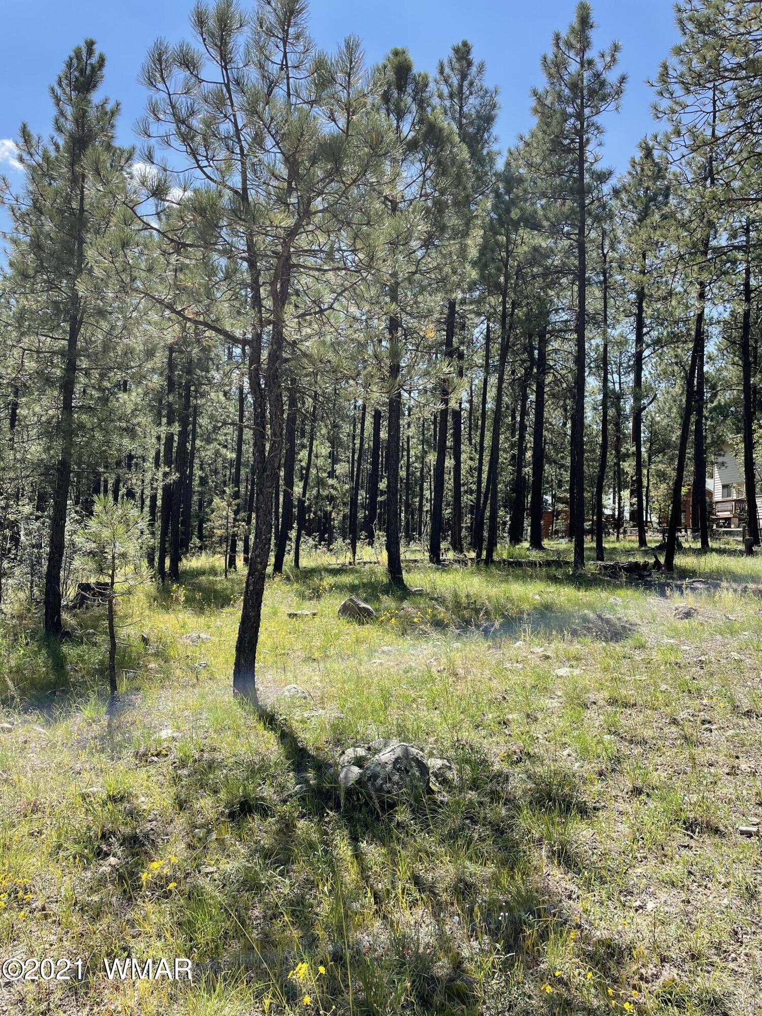 25 County Road Alpine, AZ 85920 - Photo 2 of 9