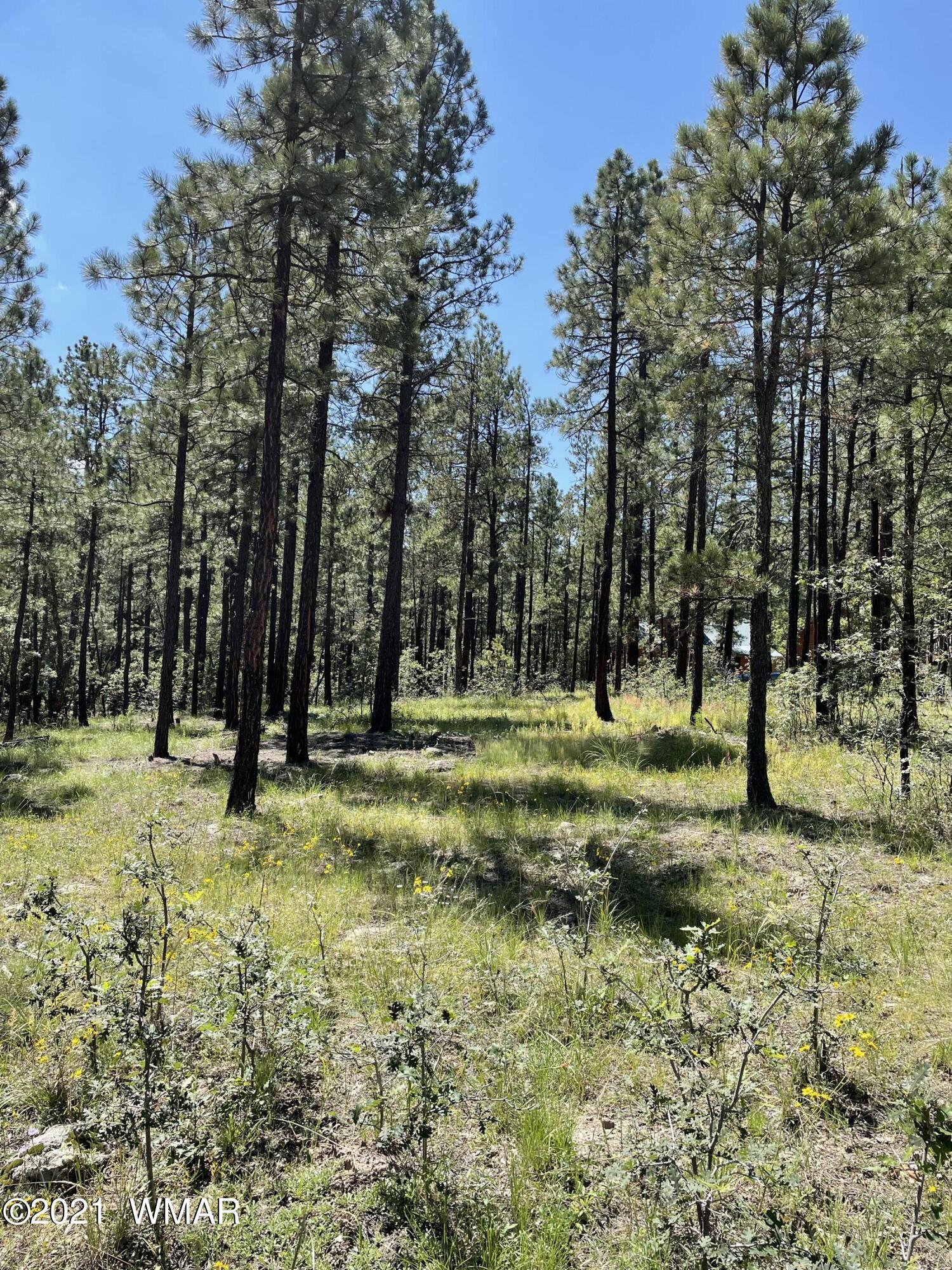 25 County Road Alpine, AZ 85920 - Photo 4 of 9