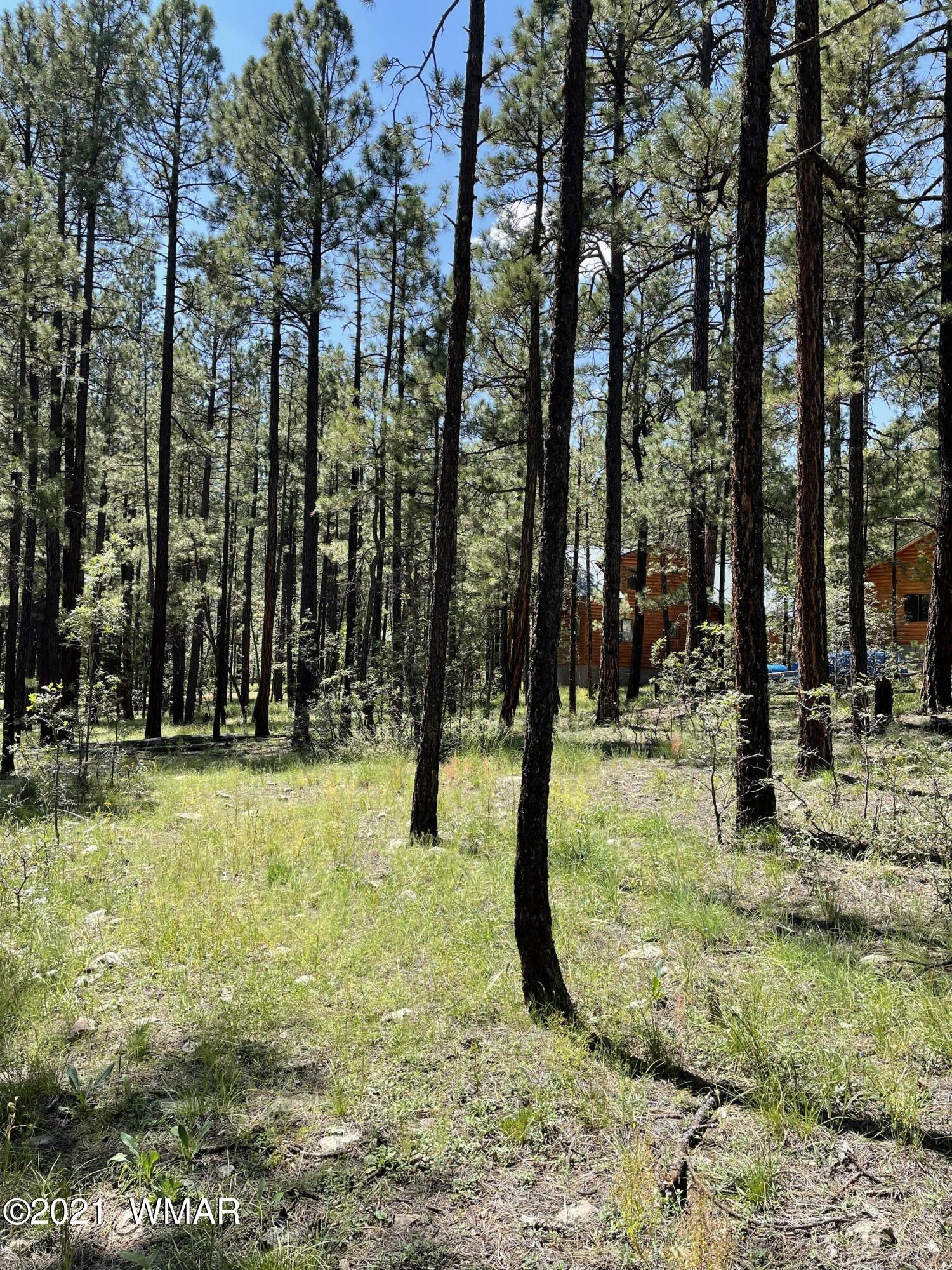 25 County Road Alpine, AZ 85920 - Photo 6 of 9