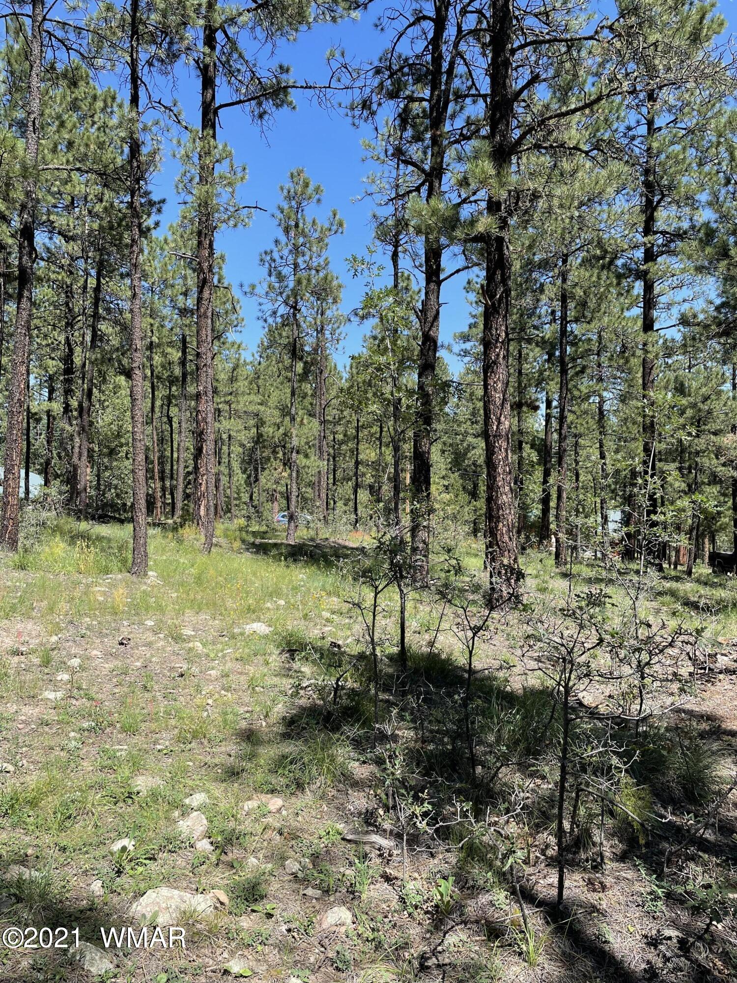 25 County Road Alpine, AZ 85920 - Photo 7 of 9