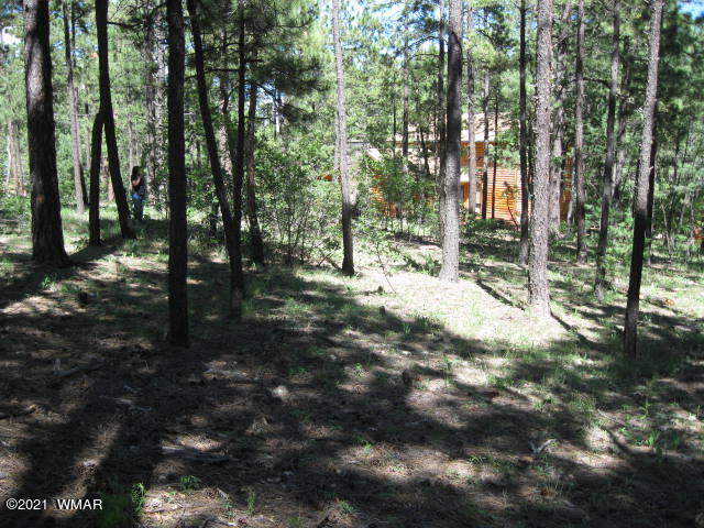 25 County Road Alpine, AZ 85920 - Photo 9 of 9
