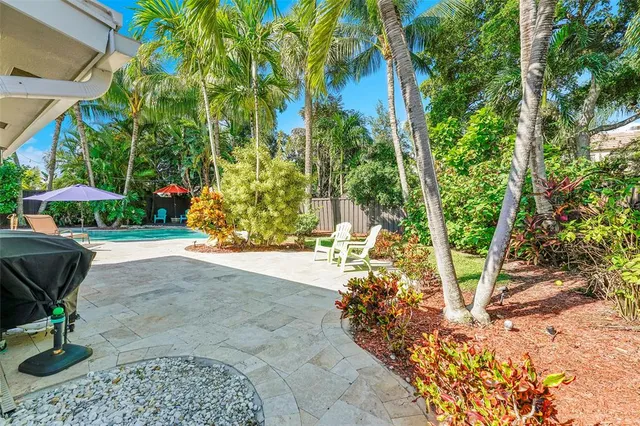 a view of backyard with a table and chairs and potted plants