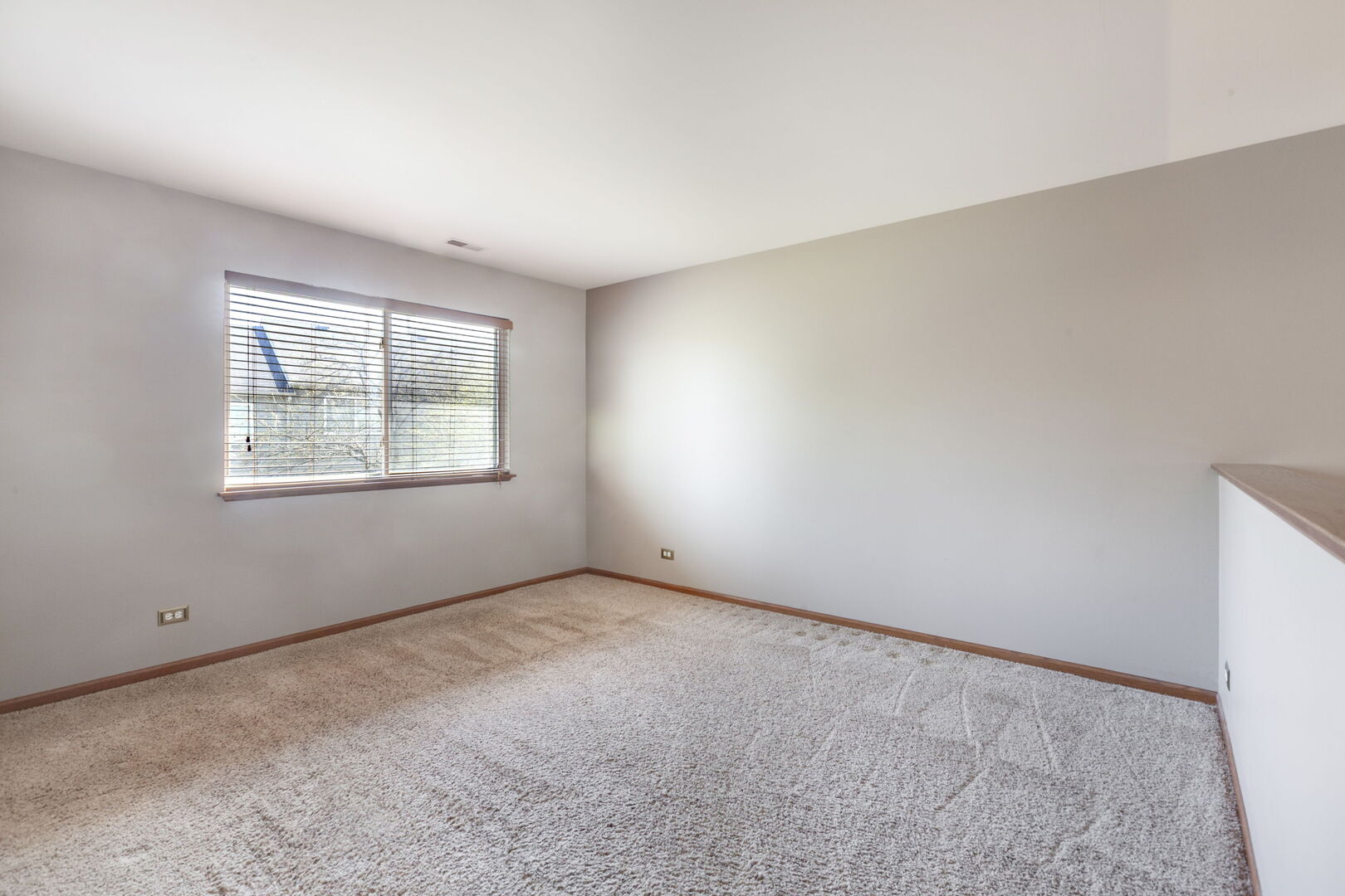 3534 Blue Ridge Court Carpentersville, IL 60110 - Photo 11 of 18