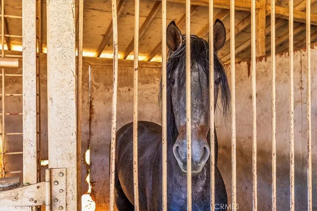 a view of an ocean and a mountain