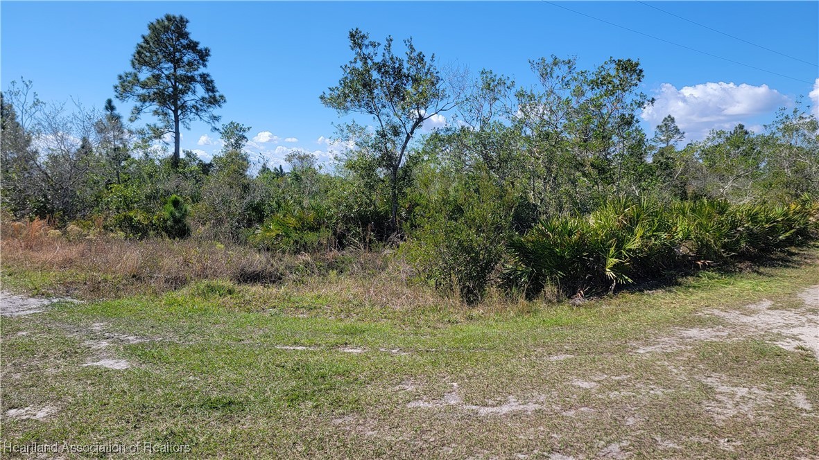 1061 Riding Drive Lorida, FL 33857 - Photo 2 of 21 a big yard with lots of green space