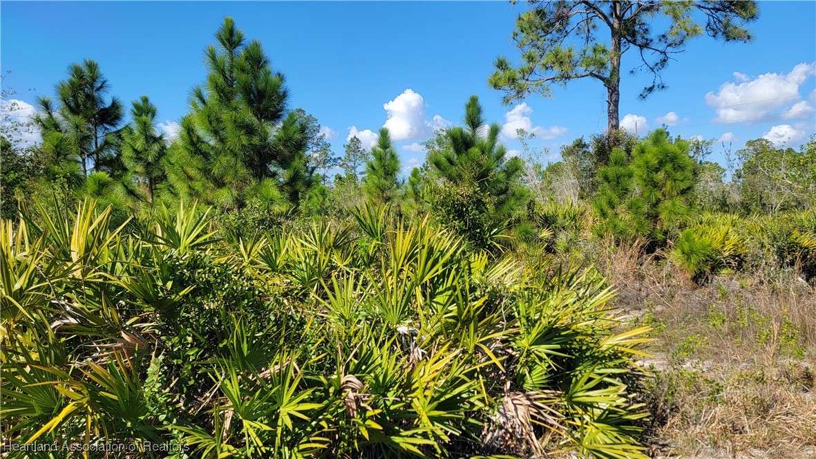 1061 Riding Drive Lorida, FL 33857 - Photo 3 of 21 a view of a plant with a garden