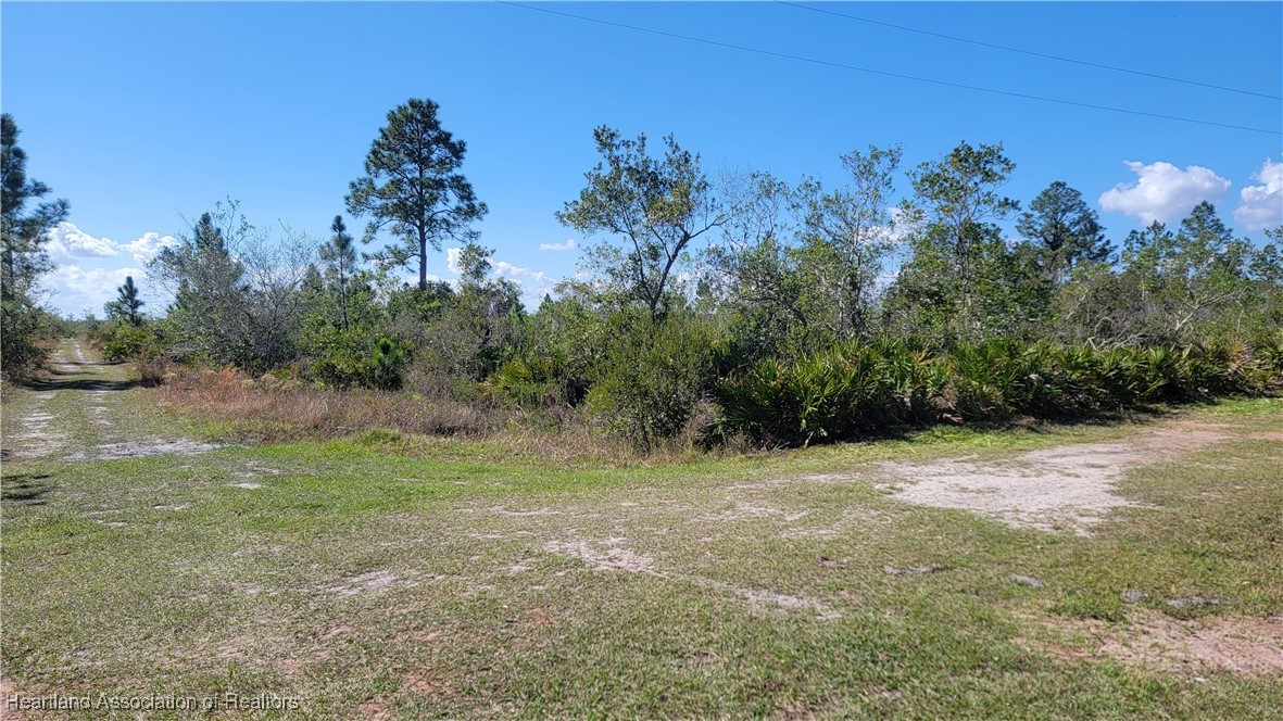 1061 Riding Drive Lorida, FL 33857 - Photo 5 of 21 a view of a field with trees in the background