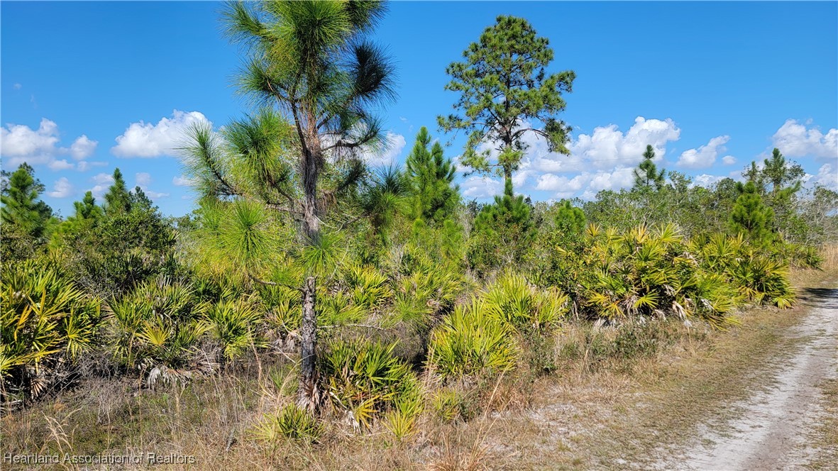 1061 Riding Drive Lorida, FL 33857 - Photo 7 of 21 a picture of a yard