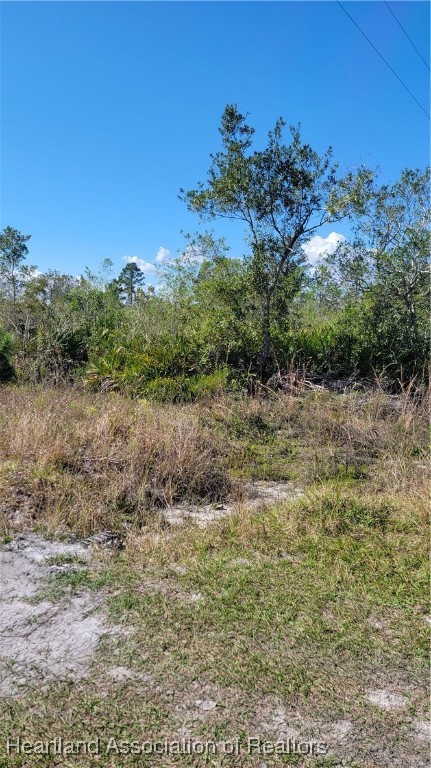 1061 Riding Drive Lorida, FL 33857 - Photo 8 of 21 a view of a field with a tree