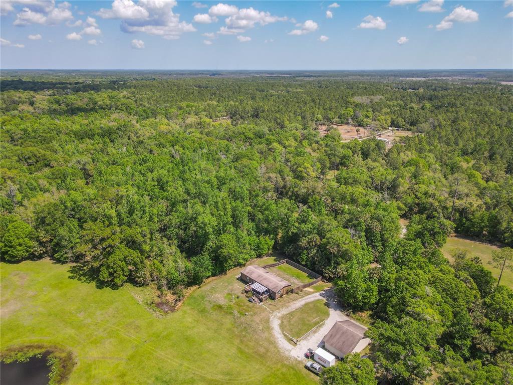 1501 Ashby Creek Road Osteen, FL 32764 - Photo 33 of 46