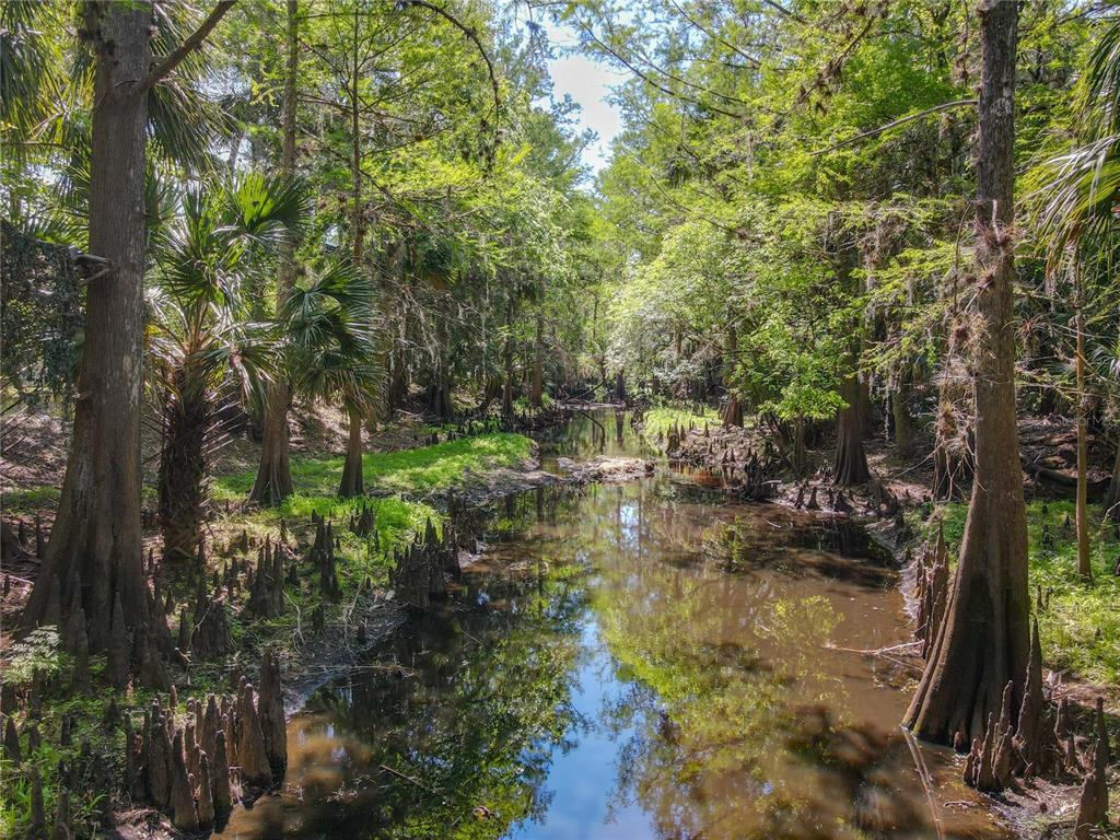 1501 Ashby Creek Road Osteen, FL 32764 - Photo 4 of 46