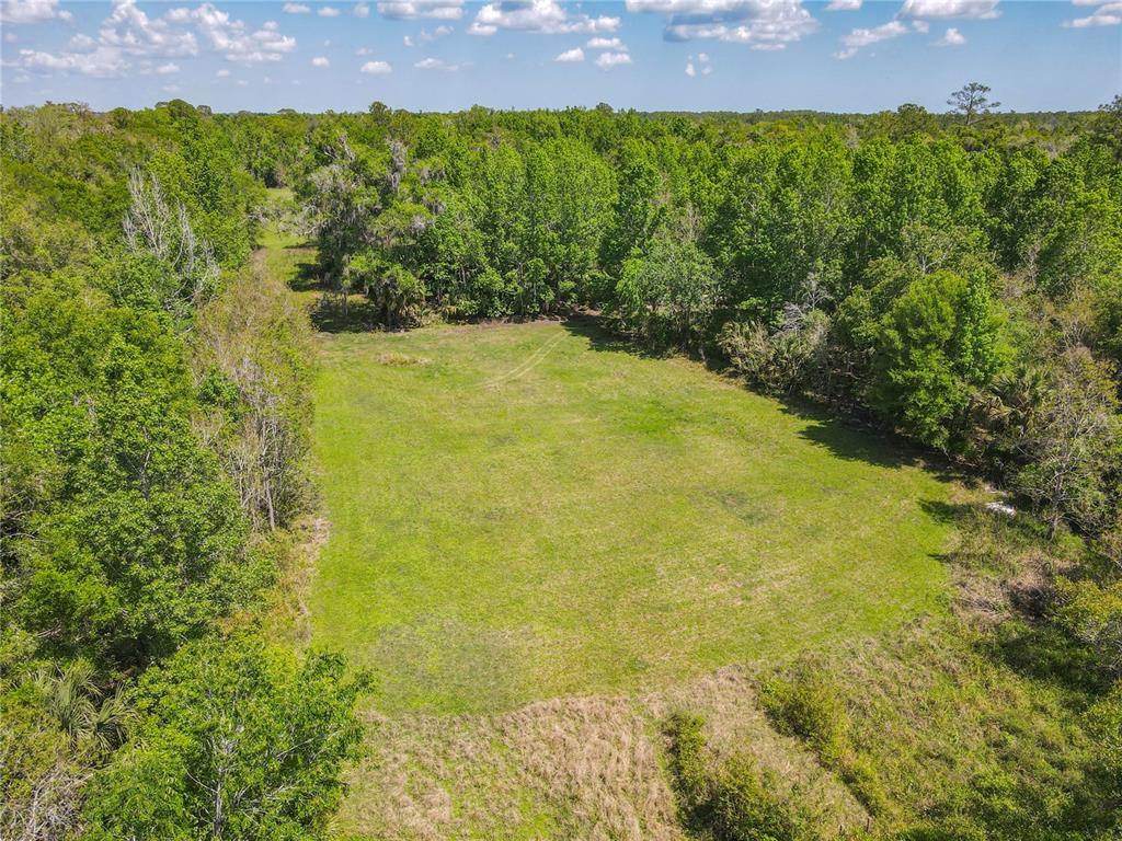 1501 Ashby Creek Road Osteen, FL 32764 - Photo 44 of 46