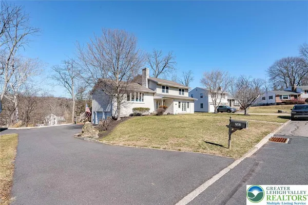 a street view with large trees