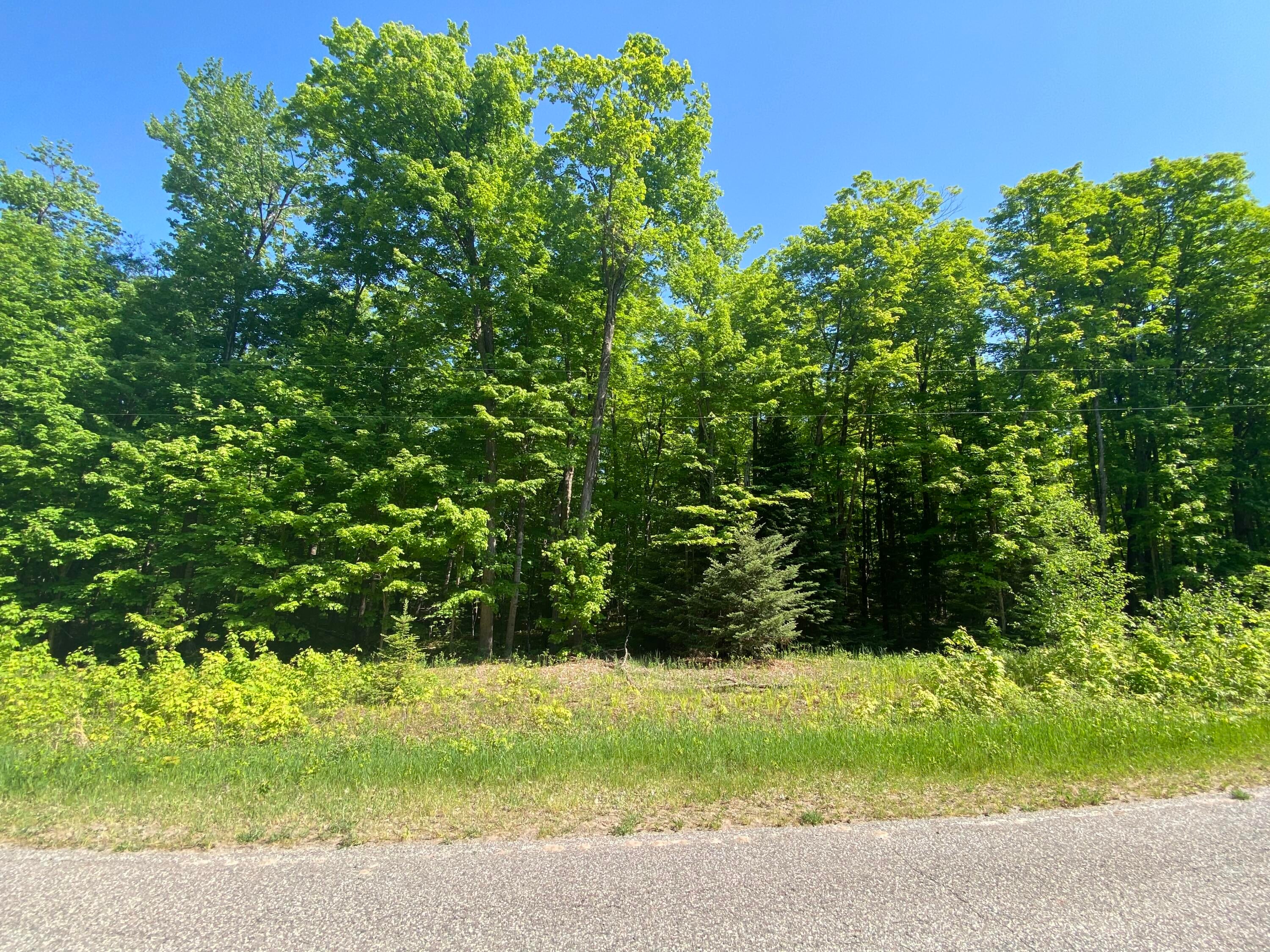 16 East 16 Mile Road Pickford, MI 49774 - Photo 9 of 13 Gallery Image 9