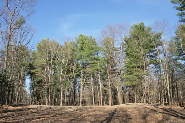 $575,000 | 765 Academy Hill Road, Red Hook, NY 12571