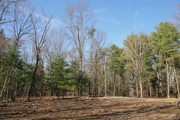 $575,000 | 765 Academy Hill Road, Red Hook, NY 12571