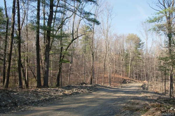 $575,000 | 765 Academy Hill Road, Red Hook, NY 12571