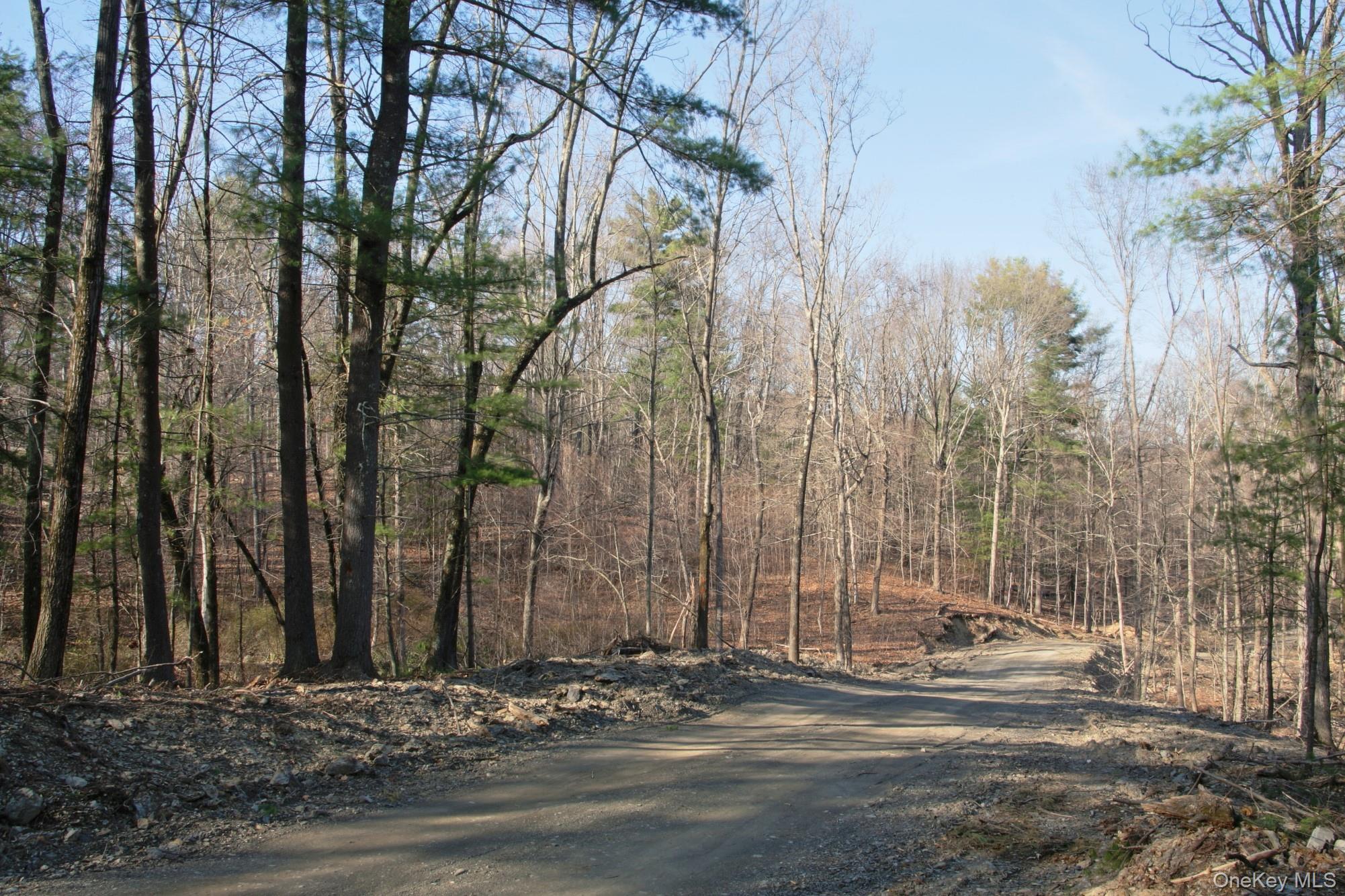 765 Academy Hill Road Red Hook, NY 12571 - Photo 7 of 15