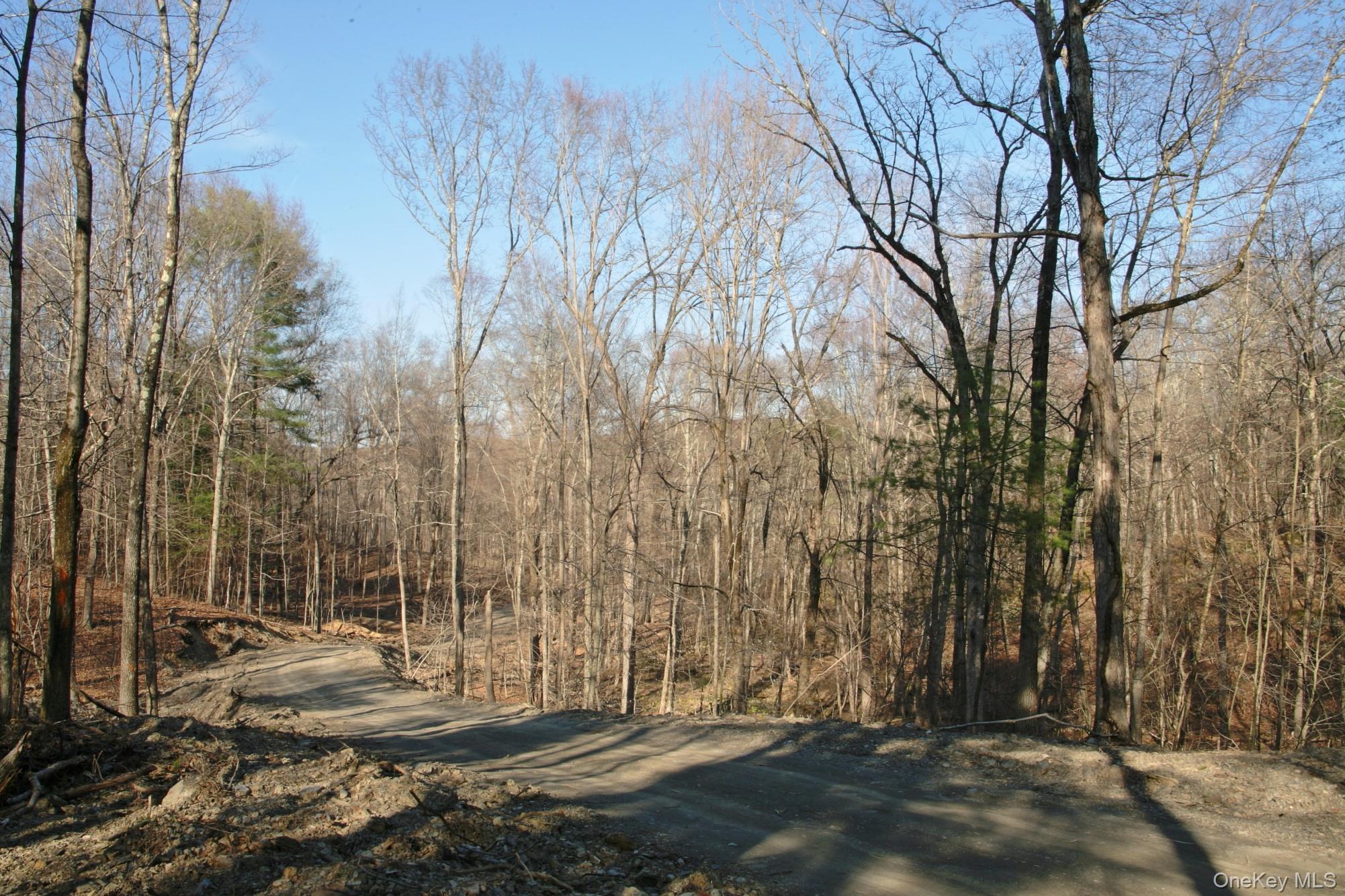 765 Academy Hill Road Red Hook, NY 12571 - Photo 8 of 15