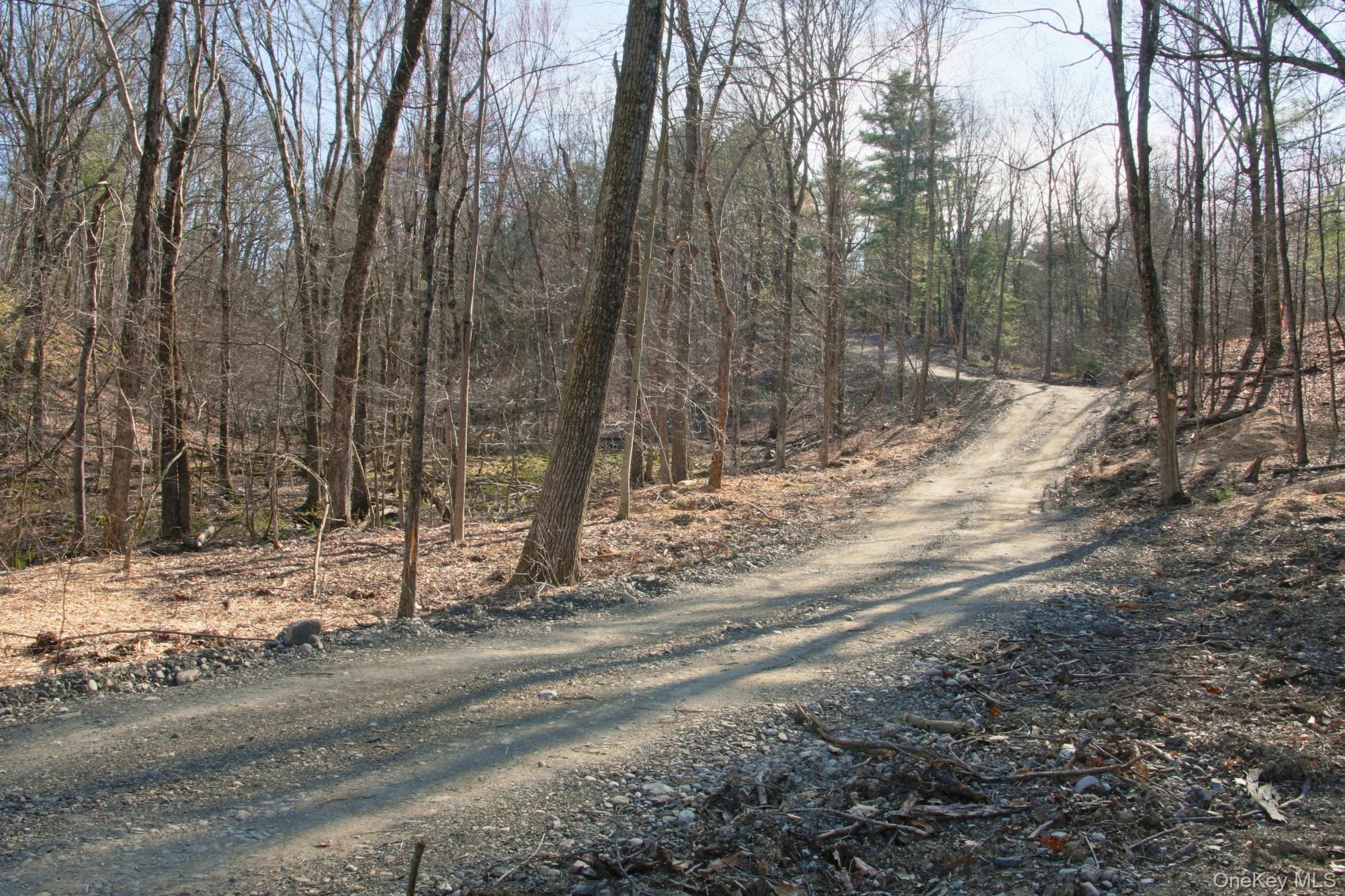 765 Academy Hill Road Red Hook, NY 12571 - Photo 10 of 15