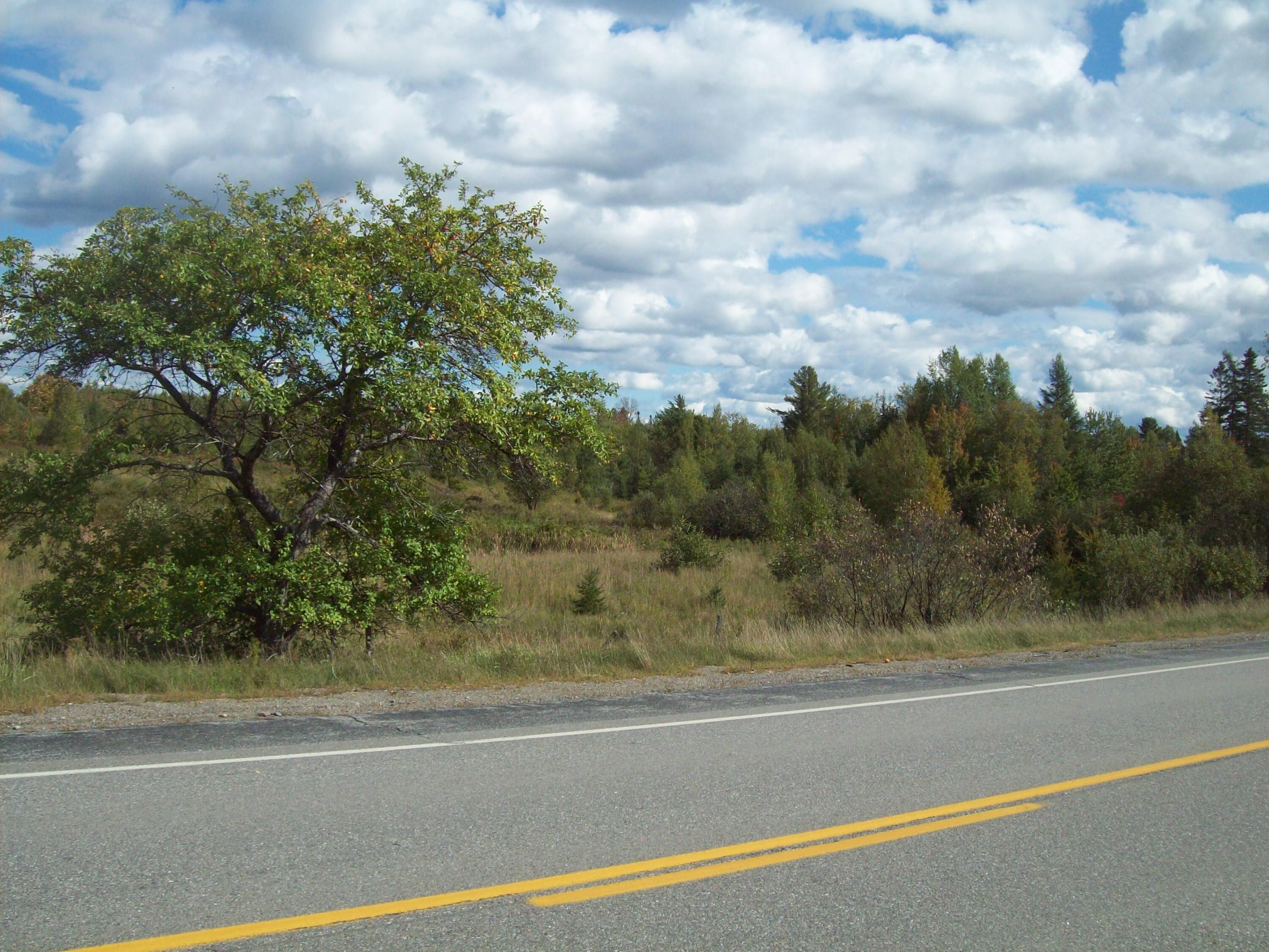 278 South Road Topsfield, ME 04490 - Photo 8 of 24 100_2345