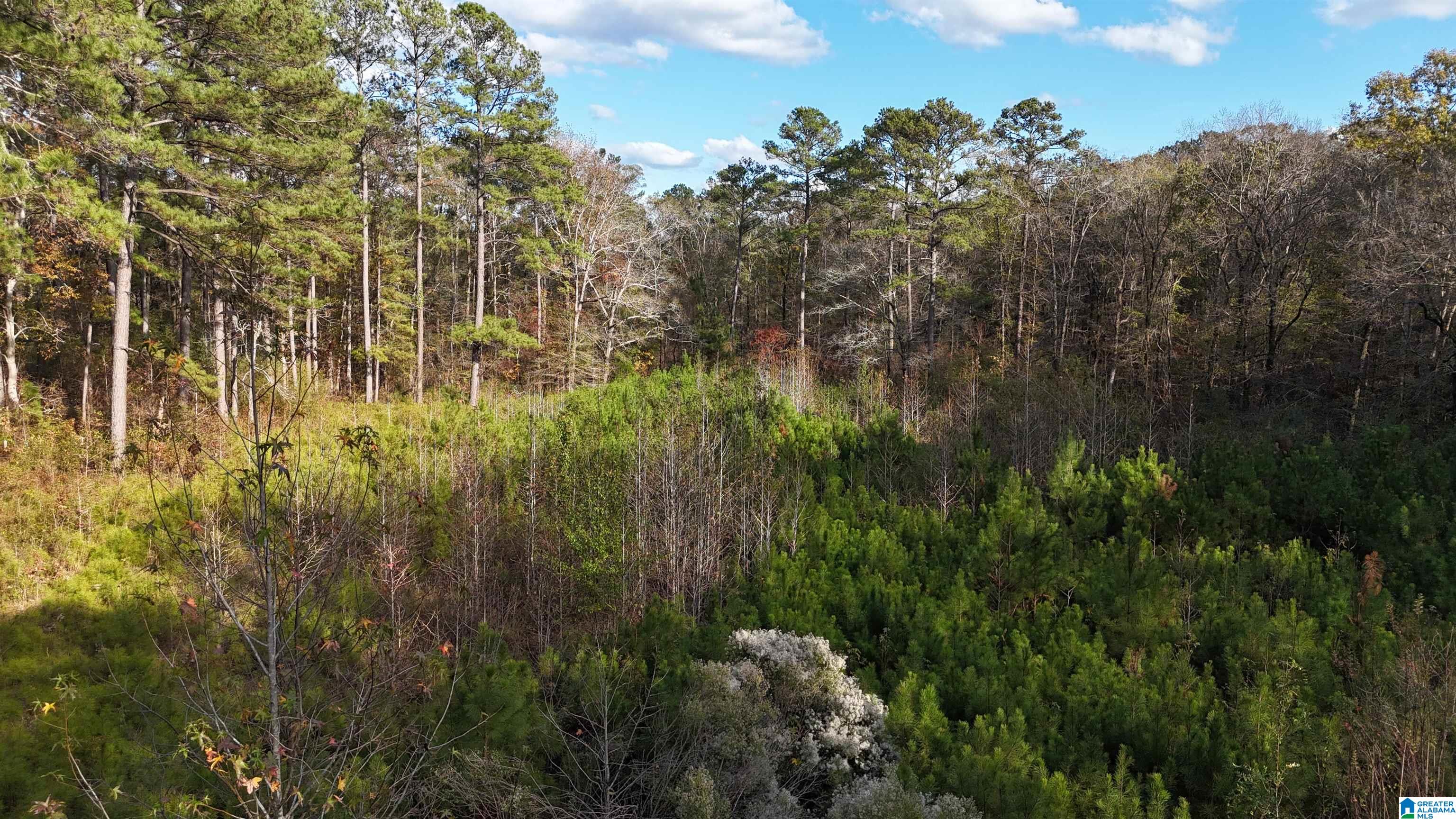 1 Highway 39, Unit 1 Chelsea, AL 35043 - Photo 2 of 6