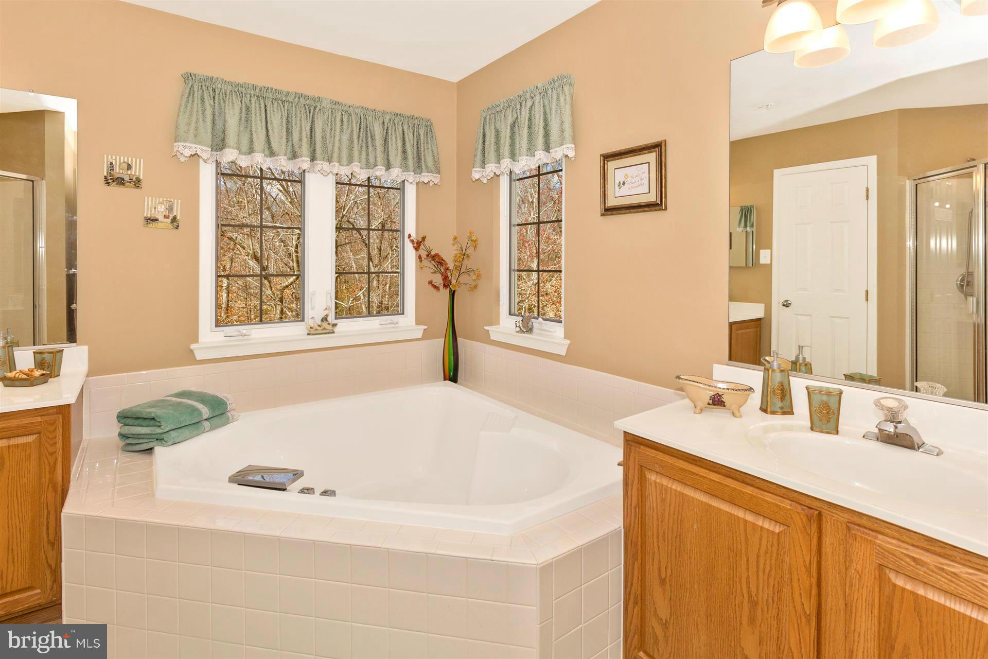 11300 Snowden Pond Road Laurel, MD 20708 - Photo 23 of 29 Bath (Master)