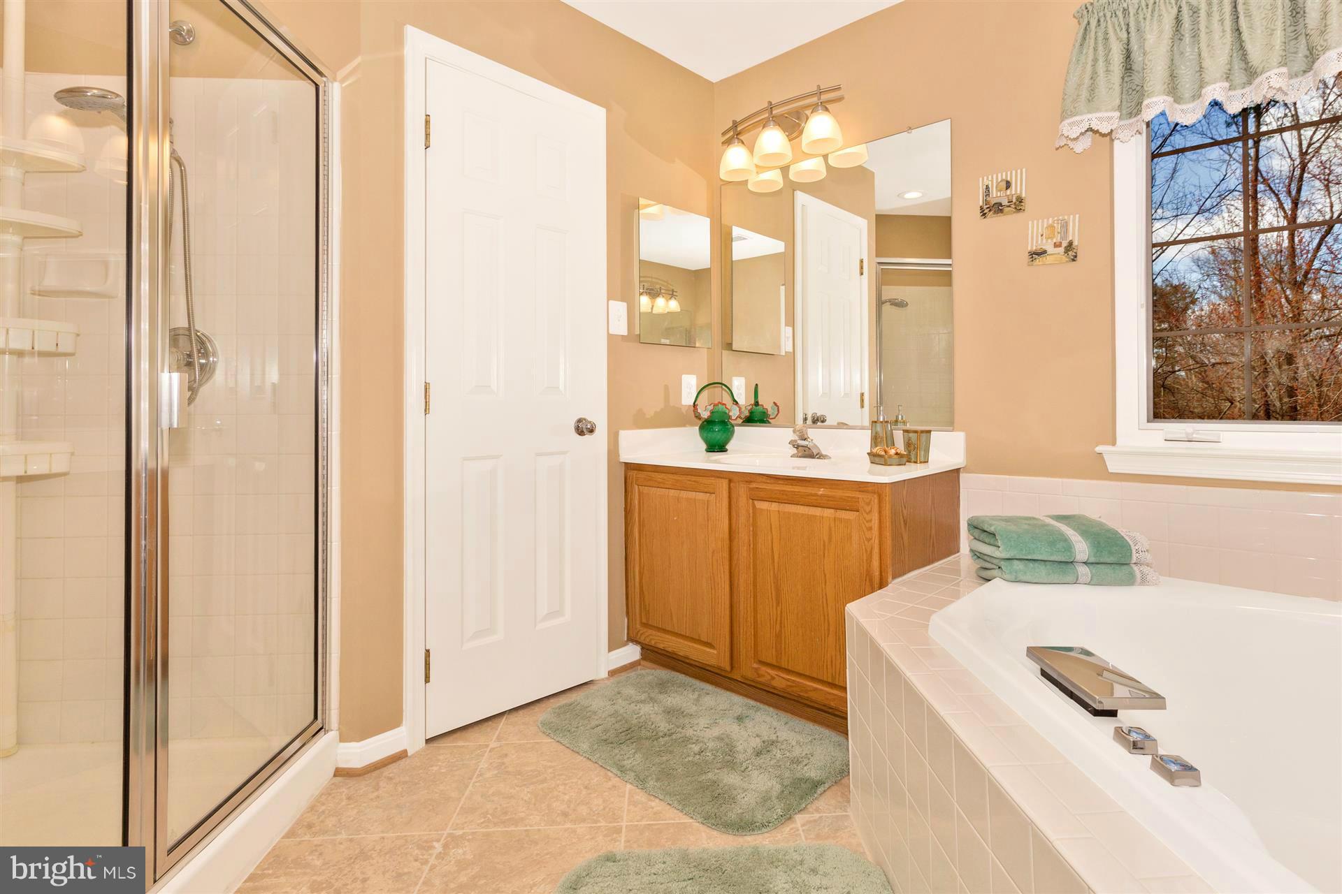 11300 Snowden Pond Road Laurel, MD 20708 - Photo 24 of 29 Bath (Master)