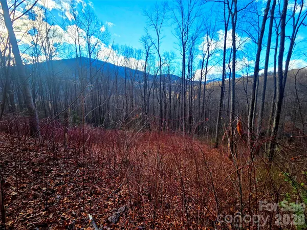 $48,000 | 900 Fern Trail, Unit 31, Waynesville, NC 28786