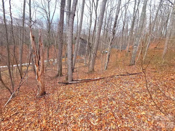 $48,000 | 900 Fern Trail, Unit 31, Waynesville, NC 28786