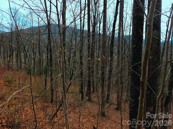 $48,000 | 900 Fern Trail, Unit 31, Waynesville, NC 28786