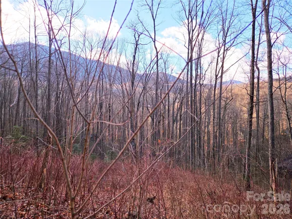 $48,000 | 900 Fern Trail, Unit 31, Waynesville, NC 28786