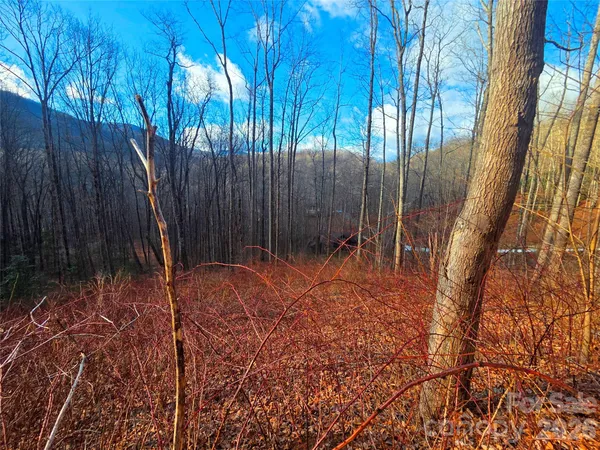 $48,000 | 900 Fern Trail, Unit 31, Waynesville, NC 28786