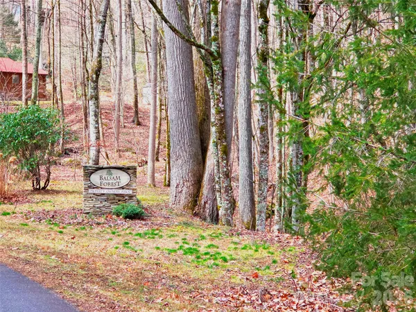 $48,000 | 900 Fern Trail, Unit 31, Waynesville, NC 28786