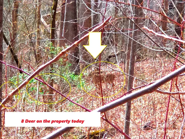 $48,000 | 900 Fern Trail, Unit 31, Waynesville, NC 28786