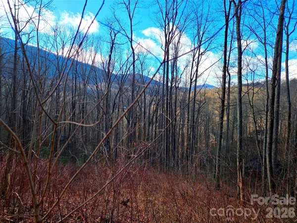 $48,000 | 900 Fern Trail, Unit 31, Waynesville, NC 28786