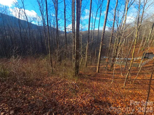 $48,000 | 900 Fern Trail, Unit 31, Waynesville, NC 28786